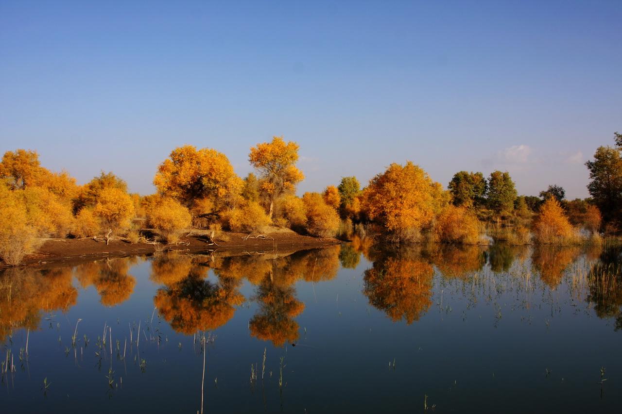 Tour Nam Tân Cương Mùa Thu Lá Vàng 10N9Đ Từ Hà Nội: Rừng Hồ Dương Luân Đài – Kashgar – Pamir | No Shopping