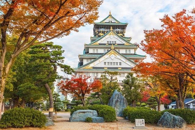 Tour Mùa Thu Nhật Bản: Tokyo – Fuji – Tokyo City Tour 5N4Đ