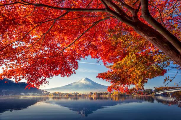 Tour Nhật Bản Mùa Thu: Nagoya – Osaka – Kyoto – Phú Sĩ – Tokyo 6N5Đ